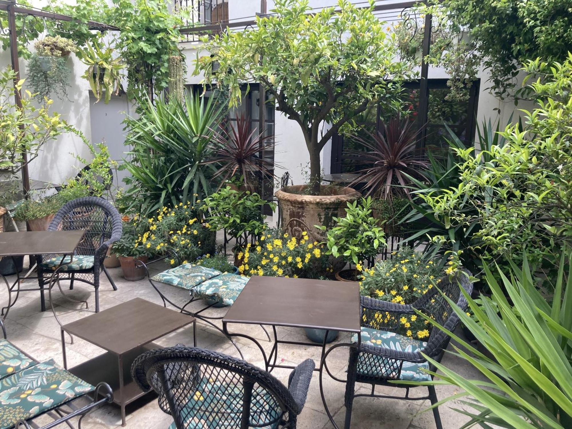 La Maison Des Augustins 4 Stars Spa Et Fitness 아비뇽 객실 사진