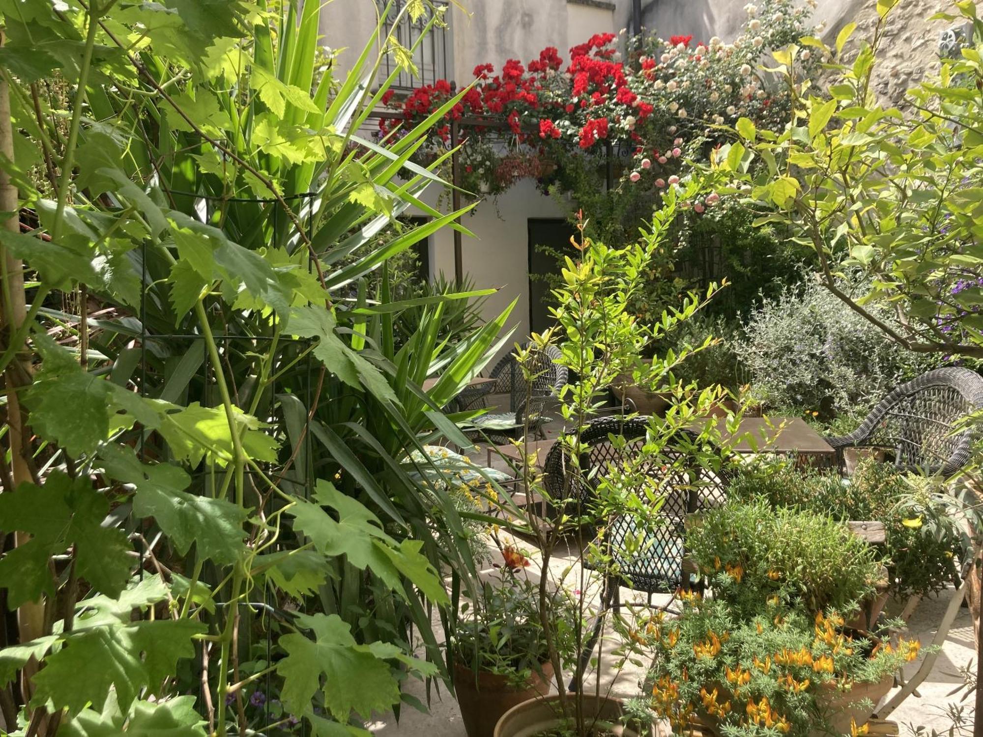 La Maison Des Augustins 4 Stars Spa Et Fitness 아비뇽 객실 사진