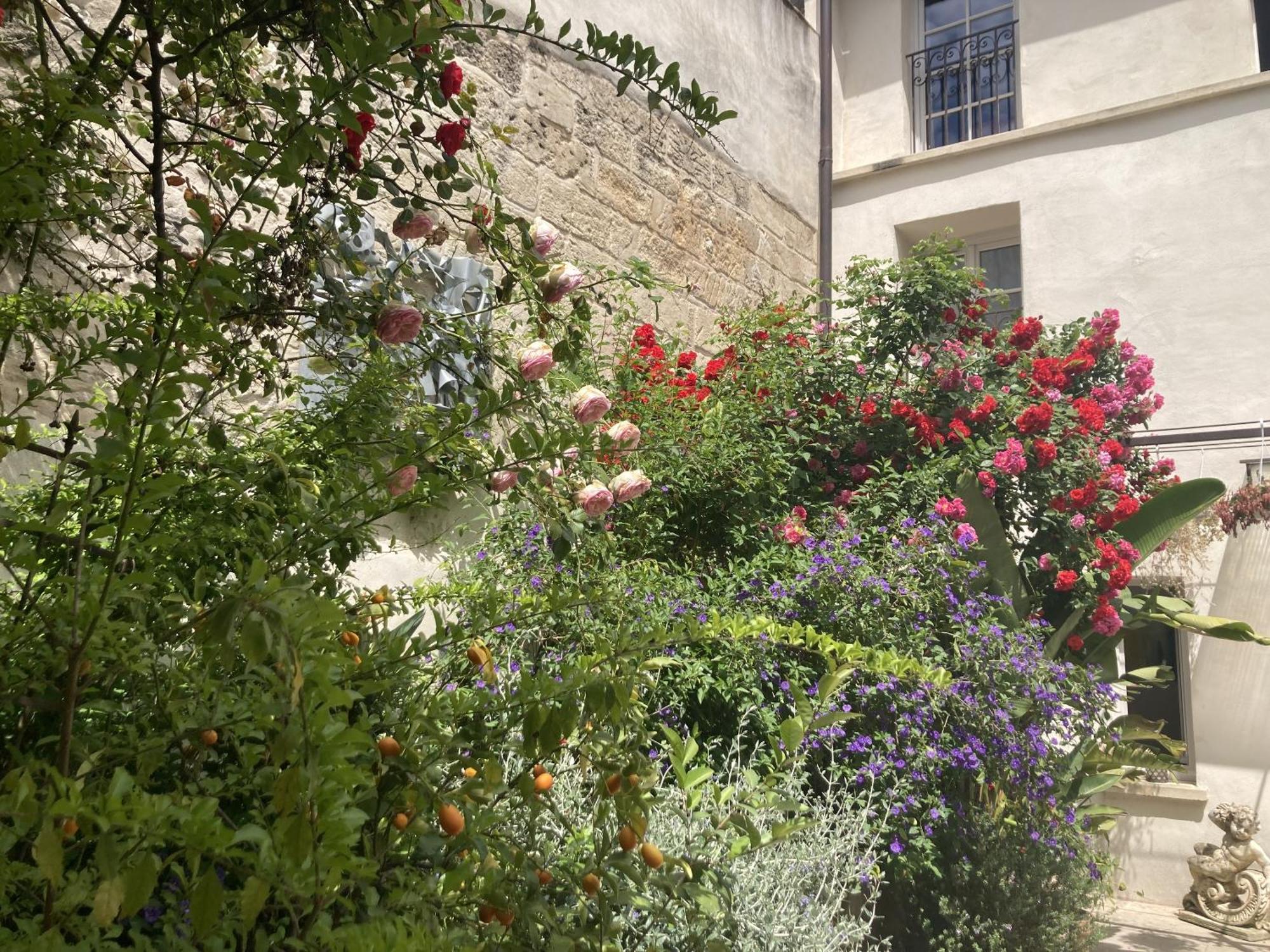La Maison Des Augustins 4 Stars Spa Et Fitness 아비뇽 객실 사진