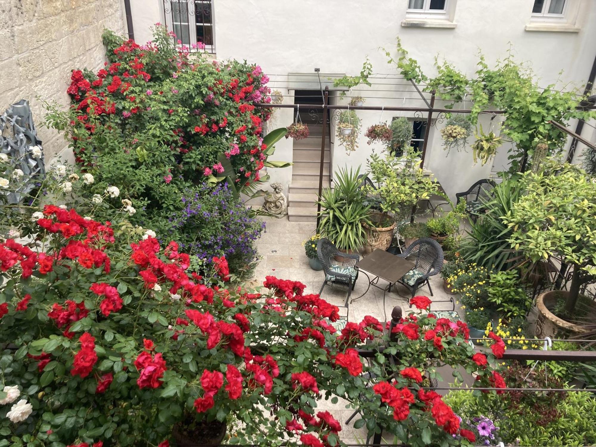 La Maison Des Augustins 4 Stars Spa Et Fitness 아비뇽 객실 사진