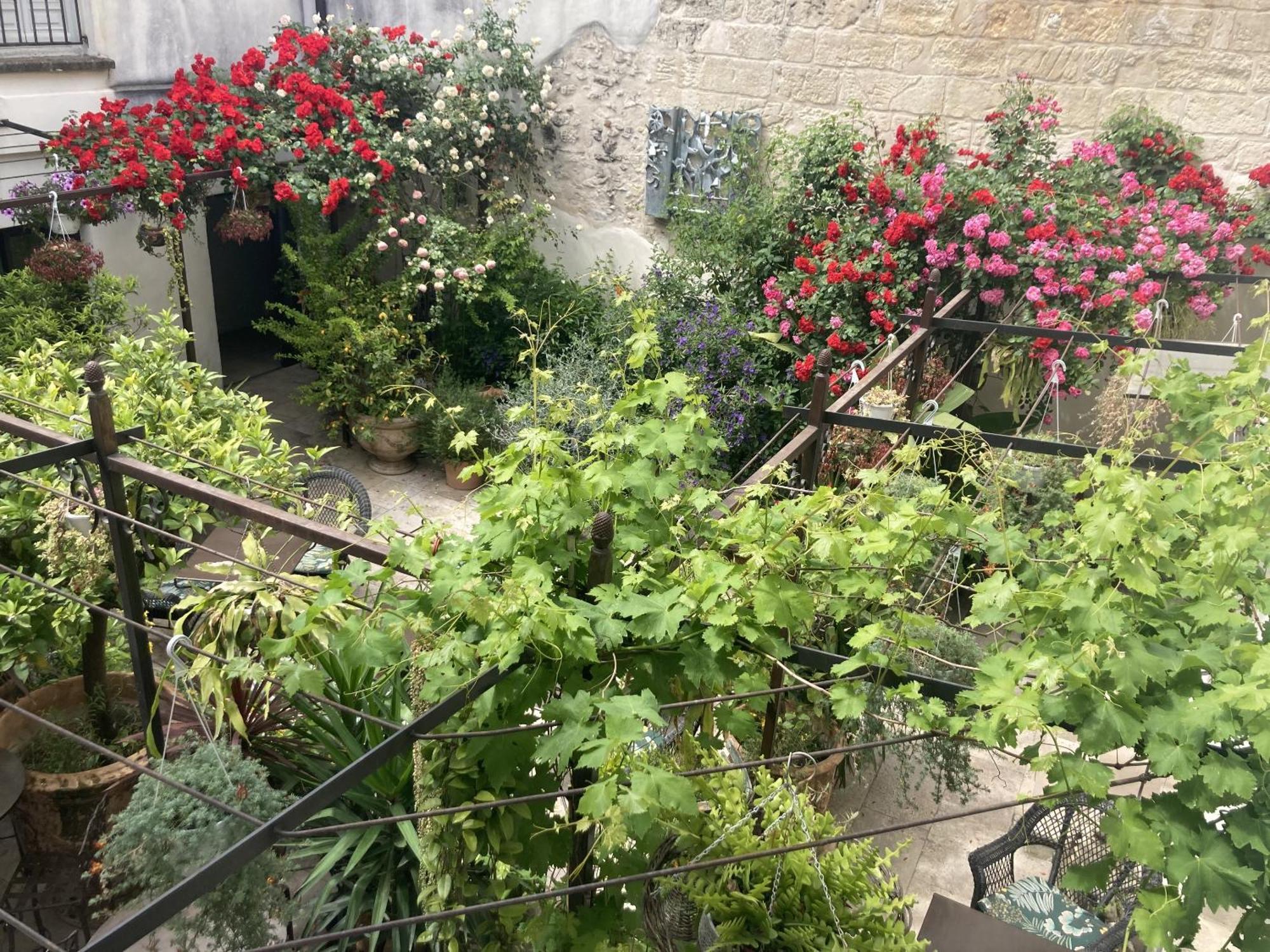 La Maison Des Augustins 4 Stars Spa Et Fitness 아비뇽 객실 사진